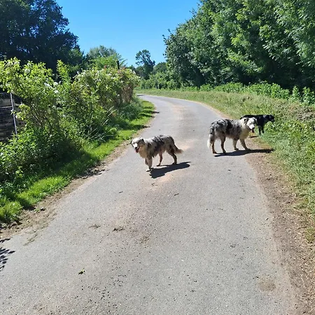 Le Mouton 2*