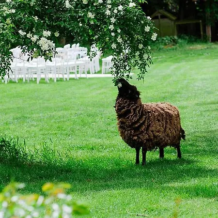Panzió Le Mouton Blaison