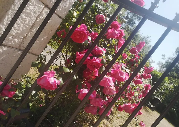 Le Mouton Blaison-Gohier