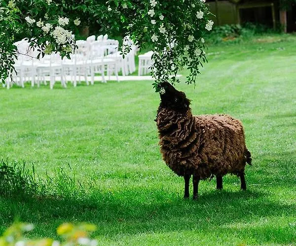 Panzió Le Mouton Blaison